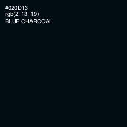 #020D13 - Blue Charcoal Color Image